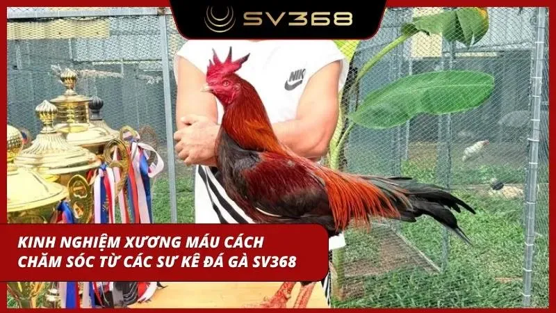 Cầm ngay cẩm nang cách chăm sóc đặc biệt